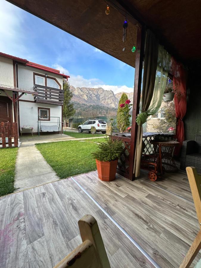 Casa Rares Buşteni Extérieur photo